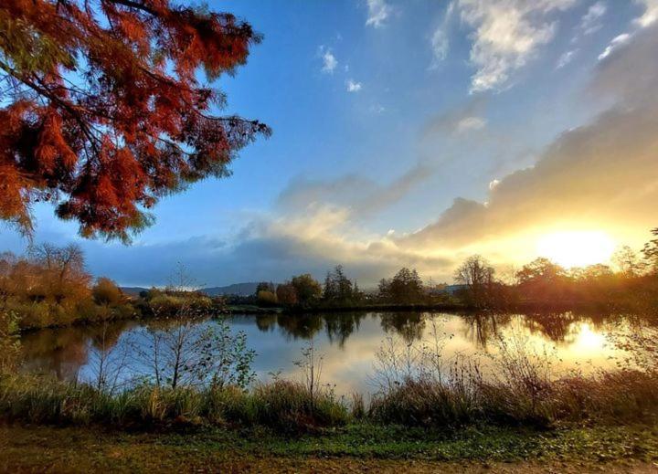Le Refuge De Normandie Avec Spa Et Cheminee Mesnieres-en-Bray Luaran gambar