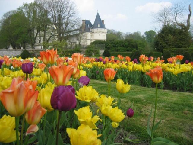 Le Refuge De Normandie Avec Spa Et Cheminee Mesnieres-en-Bray Luaran gambar